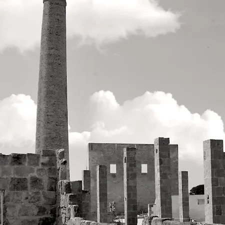 Cocciu D'amuri Netino Noto