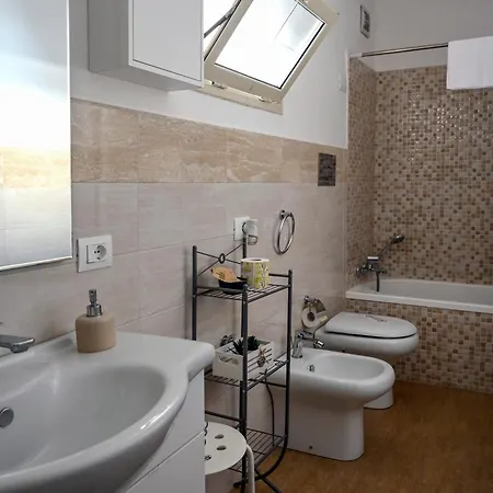 Cocciu D'amuri Netino *